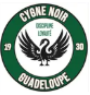 Logo Cygne Noir Handball