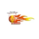 Logo Unité Sainte-Rose Handball